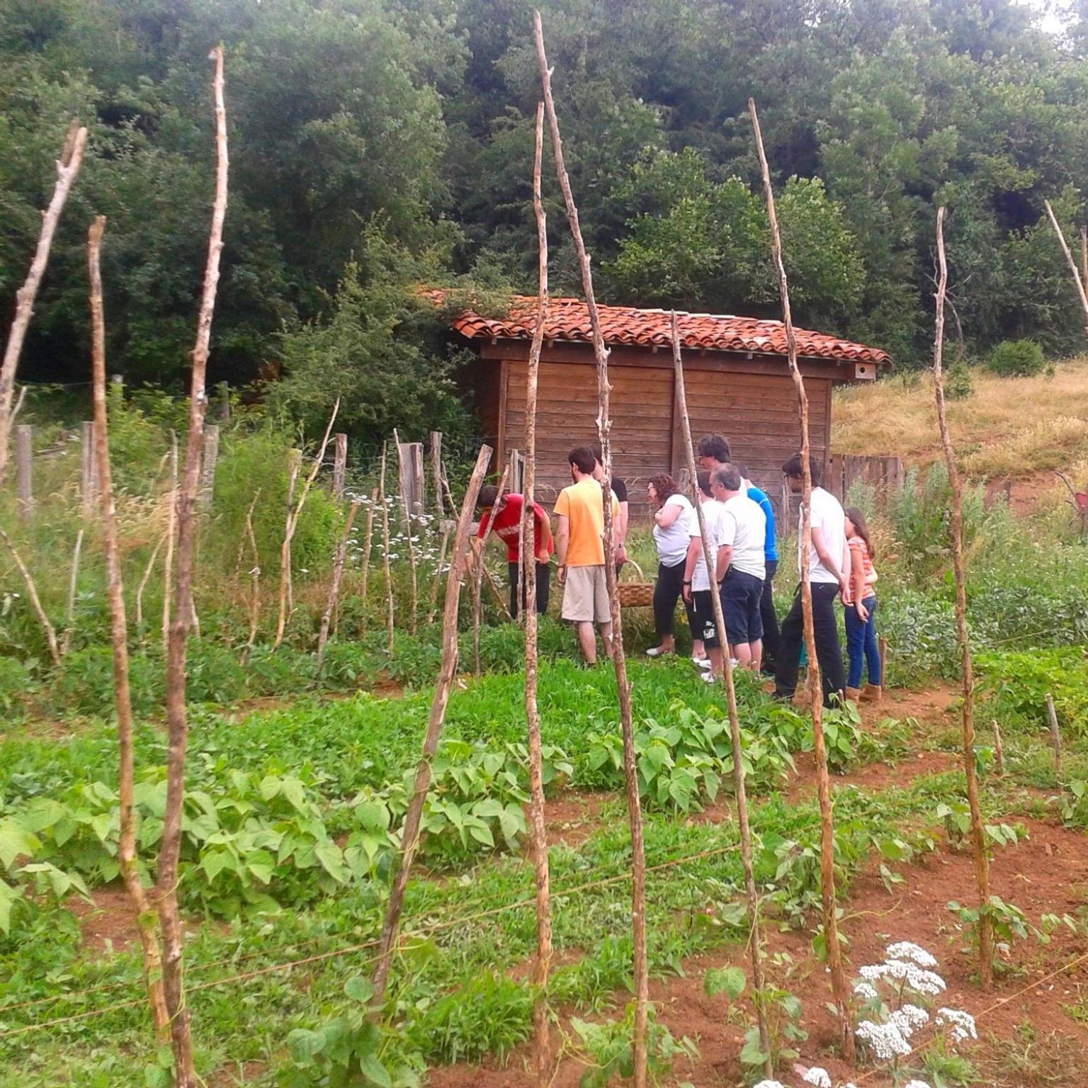 Agroturismo Mari Cruz Villanueva de Arce Exterior photo